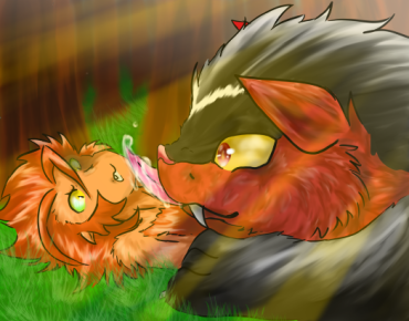 image swiper