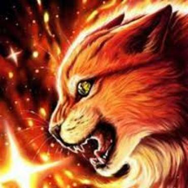 image swiper