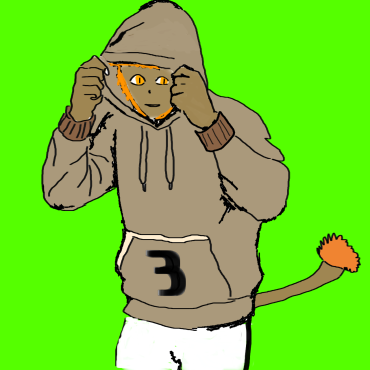 image swiper
