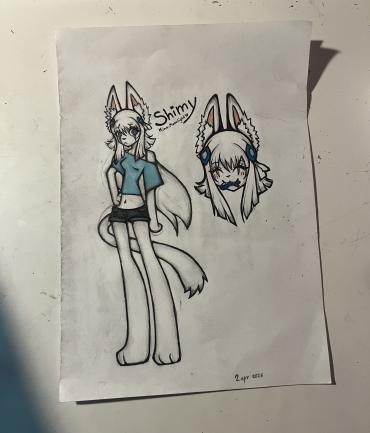 image swiper