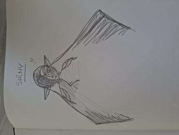 image swiper