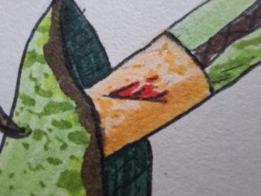 image swiper