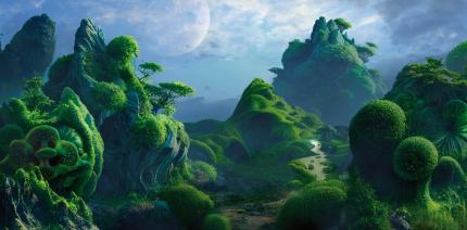 nature